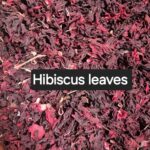 HIBISCUS LEAVES